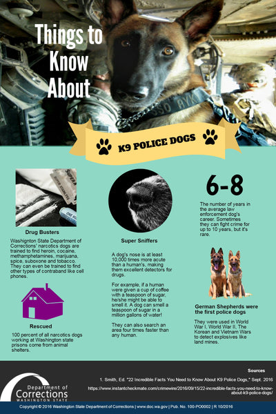 How Are K9 Dogs Trained To Find Drugs?