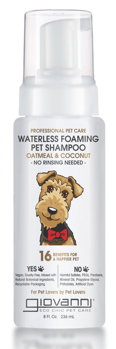 How To Use Waterless Shampoo For Dogs?