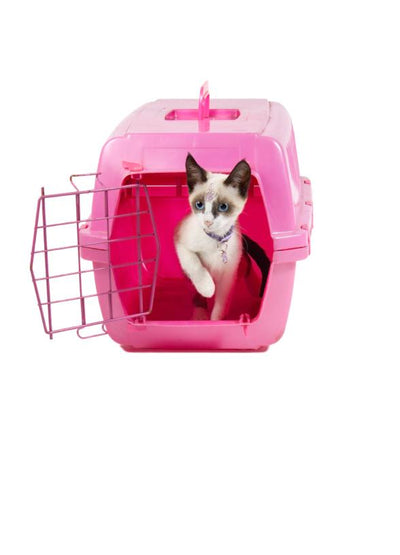 6 Different Types Of Cat Crates And Their Advantages