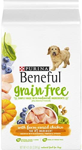 Which Dog Food Is Grain Free?