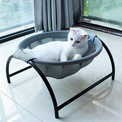 Cat Bed Vs Cat Hammock: Which Is Better For You In 2023?