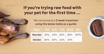 How To Introduce Raw Food To Dog?