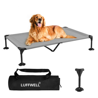 Are Elevated Beds Good For Dogs?