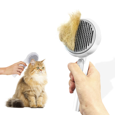 What Kind Of Brush For Short Hair Cat?
