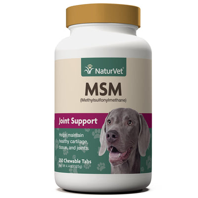What Is Msm Supplement For Dogs?