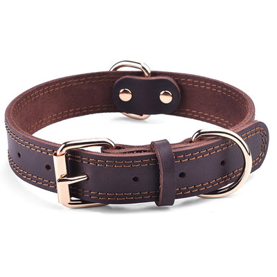 Are Leather Collars Good For Dogs?