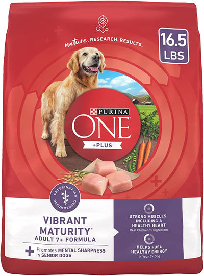 Is High Protein Dog Food Good For Senior Dogs?