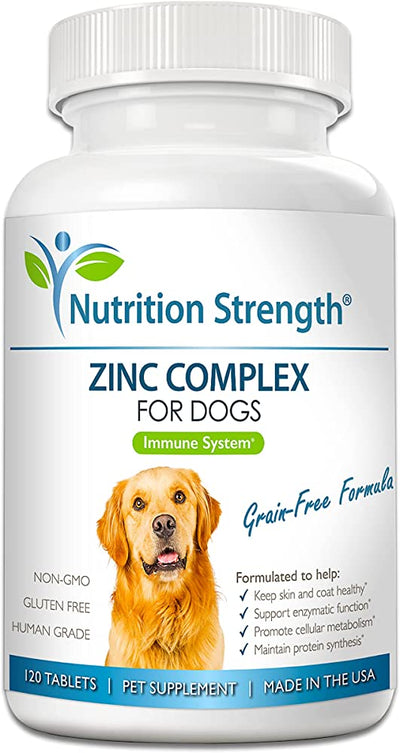 Can I Give My Dog Human Zinc Supplements?