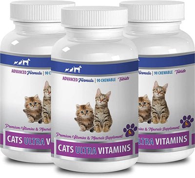 The Role Of Supplements And Vitamins In Supporting Cat's Immune System
