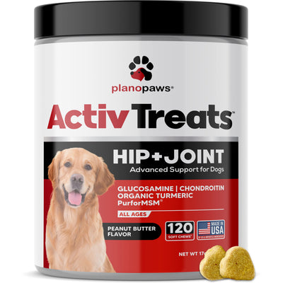 Do Dog Hip And Joint Supplements Work?