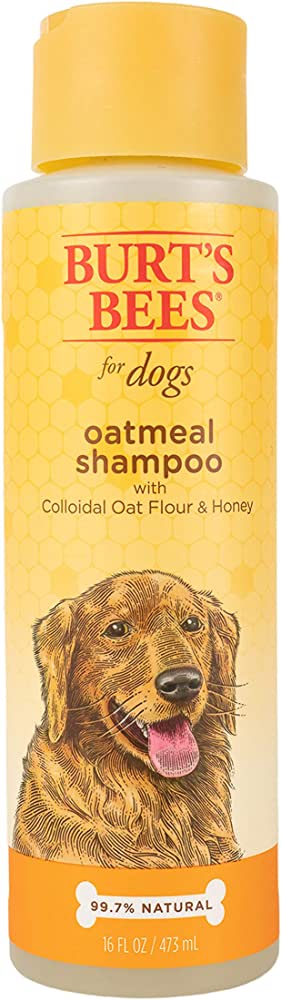 Is Burts Bees Dog Shampoo Good For Dogs?