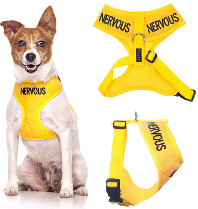 Do Harnesses Help Dogs With Anxiety?