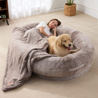 A Dog Bed For Humans?
