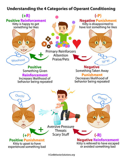 Positive Reinforcement Vs Punishment Based Training For Cats: Which Is Better For You In 2023?