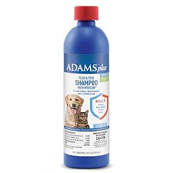 Can I Use Lice Shampoo On My Dog?
