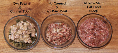 Raw Cat Food Vs Cooked Cat Food: Get The Main Difference In 2023