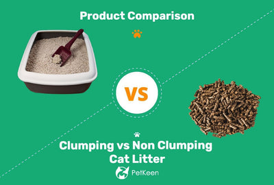 Clumping Litter Vs Non Clumping Litter For Cat Litter Boxes: Which Is Better For You?