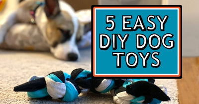 How To Make Dog Toy?