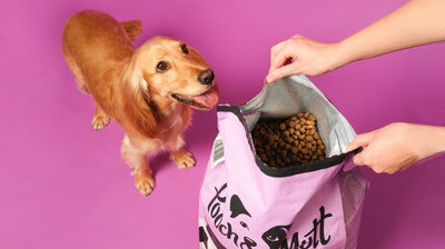How Long Does Dry Dog Food Last Once Opened?