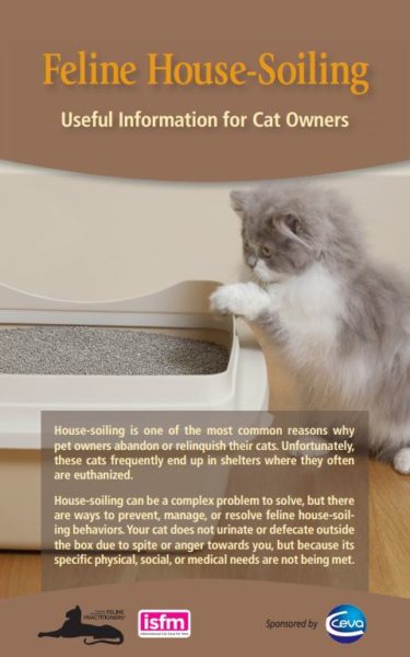 What Causes A Cat To Not Use The Litter Box?