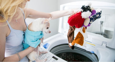 How To Wash Dog Toys In The Washing Machine?