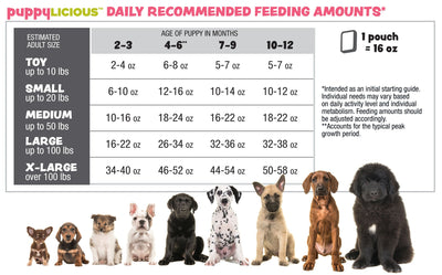 How Much Raw Food Does A Dog Need?