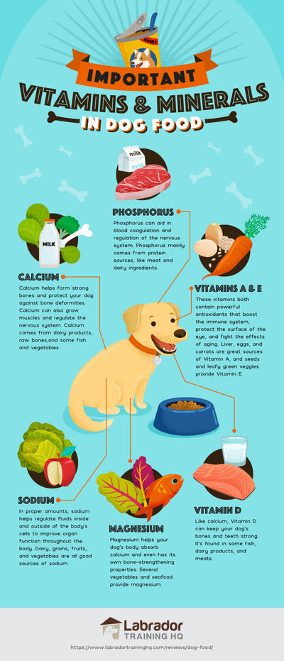 Is Vitamin A Good For Dogs?