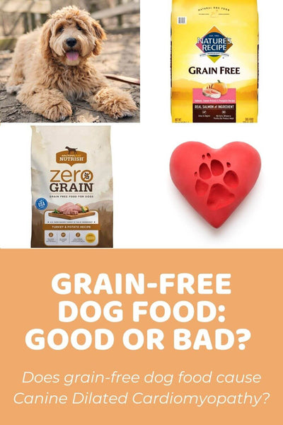 How To Tell If Dog Food Is Grain Free?