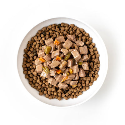 Is It Good To Mix Wet And Dry Dog Food?