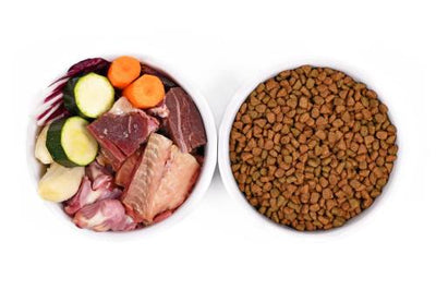 Can I Mix Raw Dog Food With Kibble?