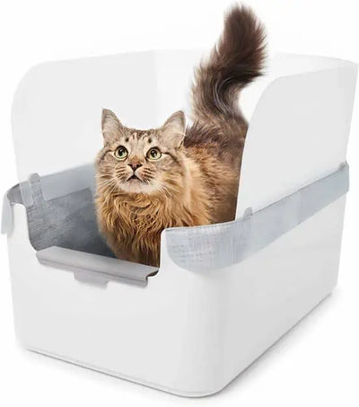 Litter Box With High Sides Vs Low Sides For Cats: Get The Main Difference In 2023