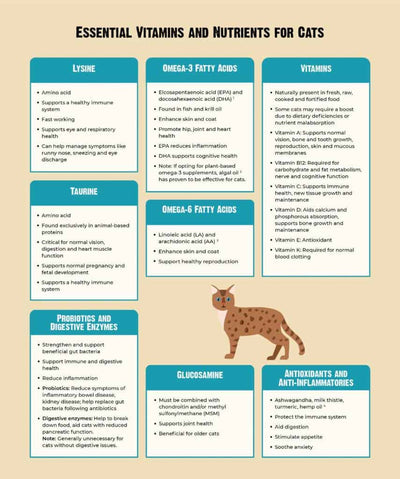A Comprehensive Guide To Cat Supplements And Vitamins: What Every Cat Owner Should Know
