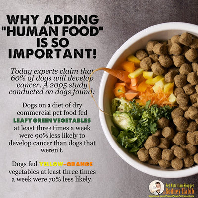 What Can I Add To Dry Dog Food?