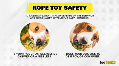 Are Rope Toys Safe For Dogs?
