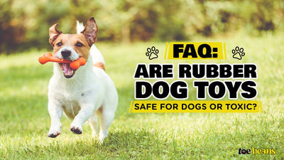 Are Rubber Toys Safe For Dogs?