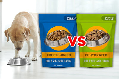 Is Dehydrated Or Freeze Dried Dog Food Better?