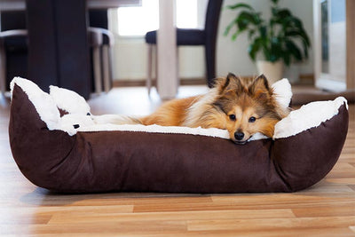 How To Wash Memory Foam Dog Bed?