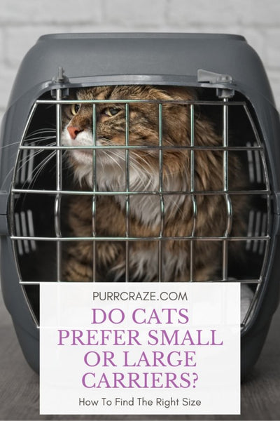 What Size Crate For A Cat?