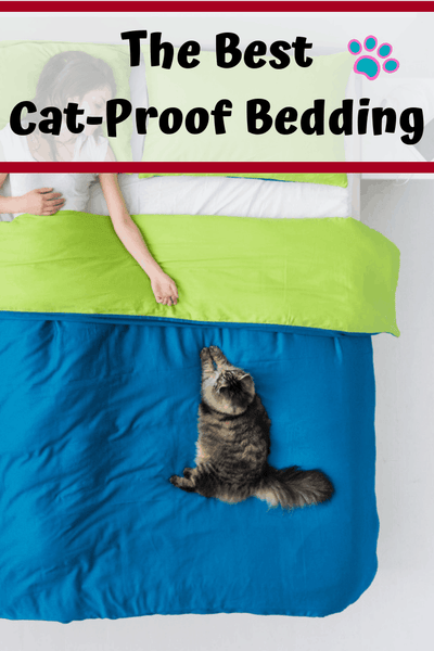 Cat Bedding Materials: Understanding The Different Options And Their Benefits