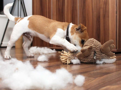How To Get My Dog To Stop Destroying Toys?