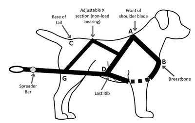 How To Make A Dog Weight Pulling Harness?