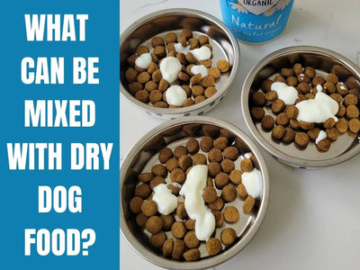 What Can You Mix With Dry Dog Food?