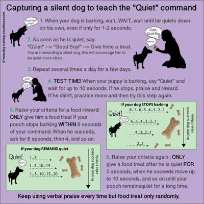 How To Teach Your Dog To Stop Barking On Command?