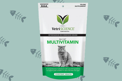 Choosing The Right Supplements And Vitamins For Your Cat's Health And Wellbeing
