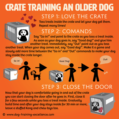 How Crate Train Older Dog?