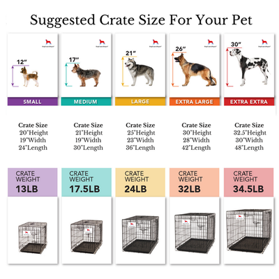 What Size Dog Crate For An Australian Shepherd?