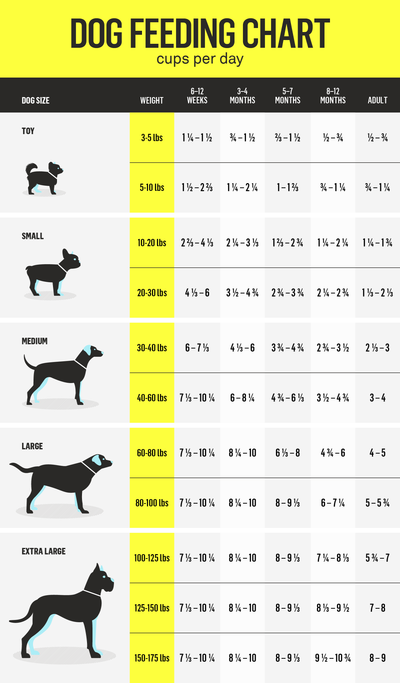 How Much Dry Dog Food Should I Feed My Dog?