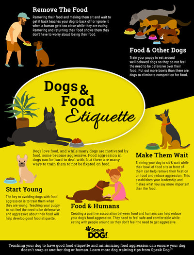 How To Train A Dog Out Of Food Aggression?