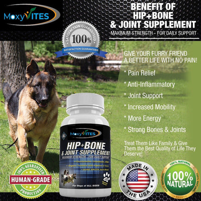 Can Dogs Have Human Joint Supplements?