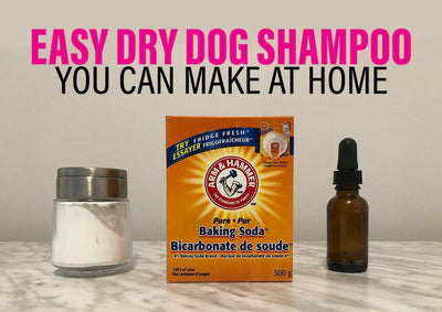 How To Make Dog Shampoo?